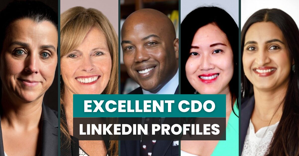 a group of chief data officer with excellent linkedin profiles